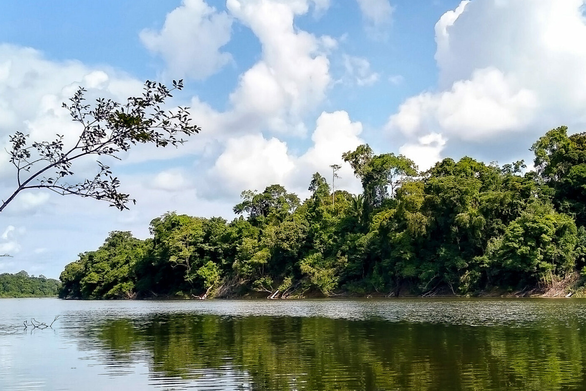 Project hero image 1