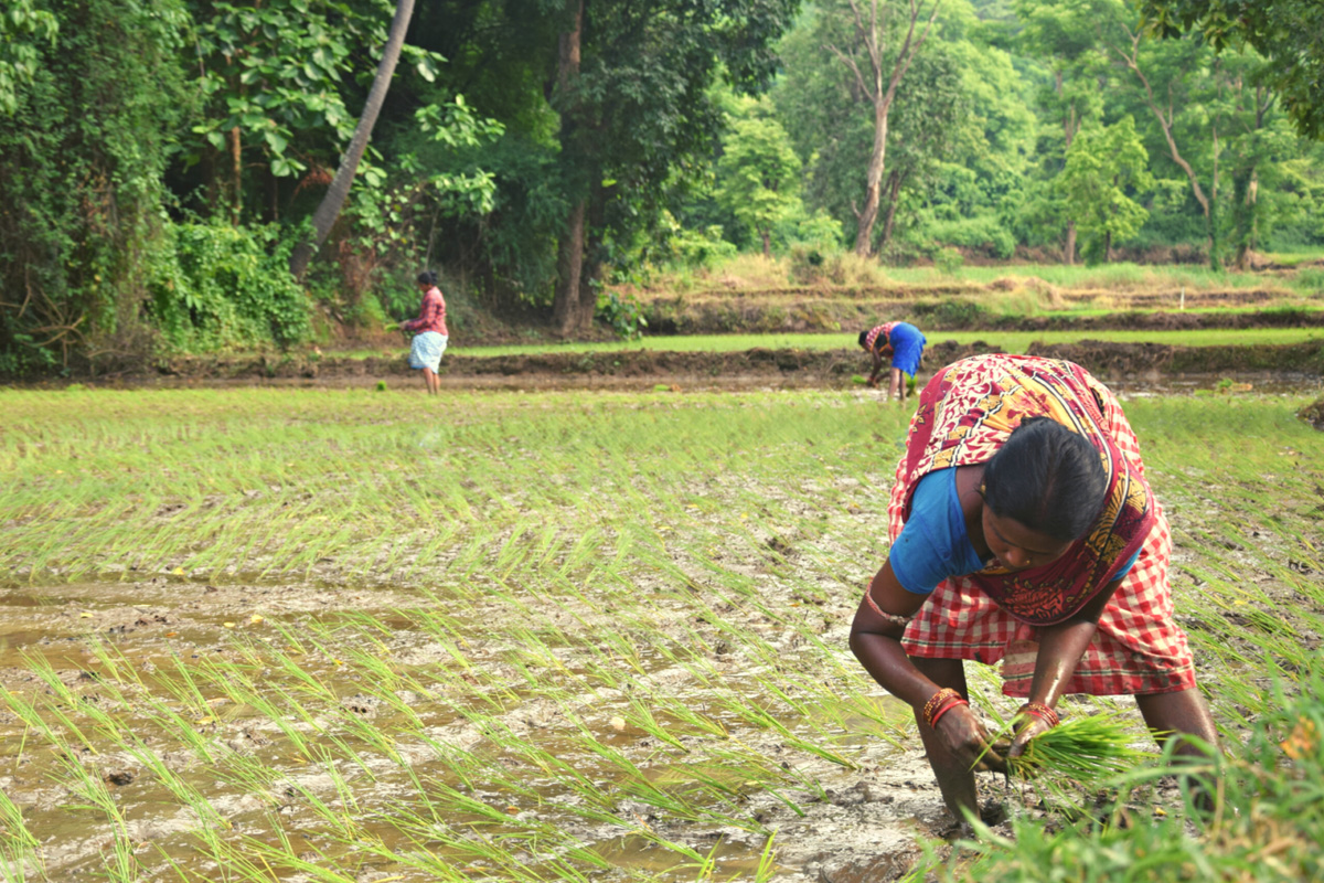 Project hero image 3